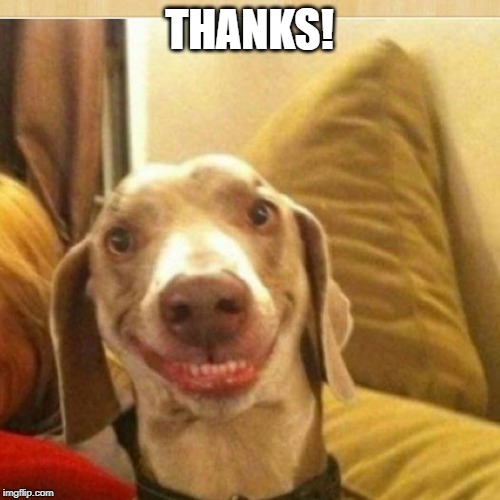 big smile doggie | THANKS! | image tagged in big smile doggie | made w/ Imgflip meme maker