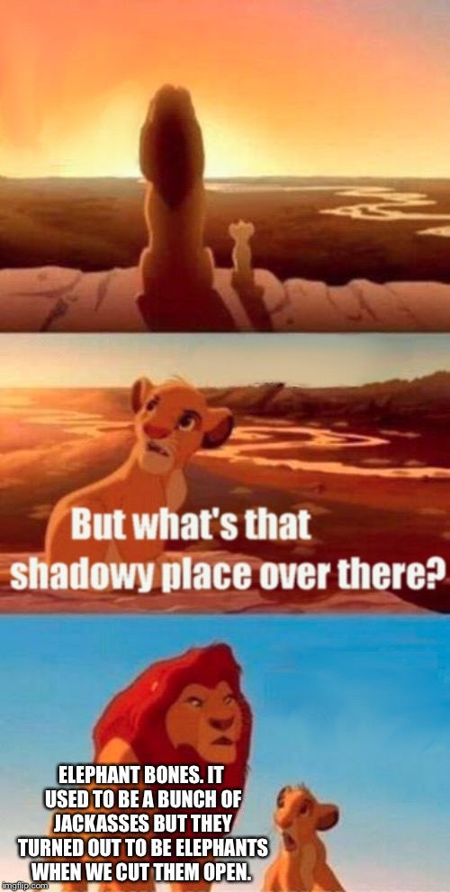 Simba Shadowy Place | ELEPHANT BONES. IT USED TO BE A BUNCH OF JACKASSES BUT THEY TURNED OUT TO BE ELEPHANTS WHEN WE CUT THEM OPEN. | image tagged in memes,simba shadowy place | made w/ Imgflip meme maker