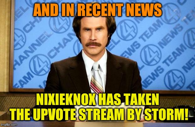 BREAKING NEWS | AND IN RECENT NEWS NIXIEKNOX HAS TAKEN THE UPVOTE STREAM BY STORM! | image tagged in breaking news | made w/ Imgflip meme maker