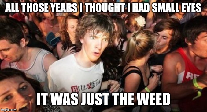 Sudden Clarity Clarence Meme | ALL THOSE YEARS I THOUGHT I HAD SMALL EYES; IT WAS JUST THE WEED | image tagged in memes,sudden clarity clarence | made w/ Imgflip meme maker