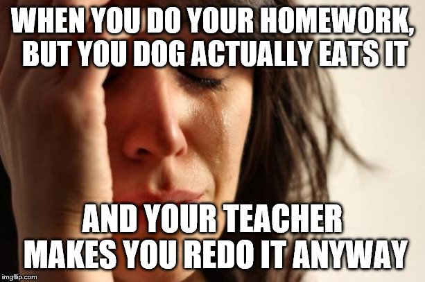 First World Problems | WHEN YOU DO YOUR HOMEWORK, BUT YOU DOG ACTUALLY EATS IT; AND YOUR TEACHER MAKES YOU REDO IT ANYWAY | image tagged in memes,first world problems | made w/ Imgflip meme maker