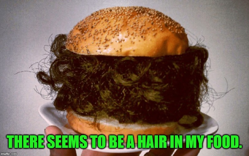 Hairburger | THERE SEEMS TO BE A HAIR IN MY FOOD. | image tagged in hairburger | made w/ Imgflip meme maker