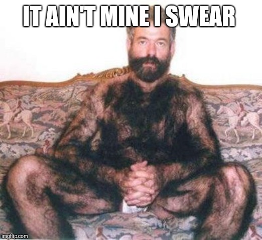 Hairy man | IT AIN'T MINE I SWEAR | image tagged in hairy man | made w/ Imgflip meme maker