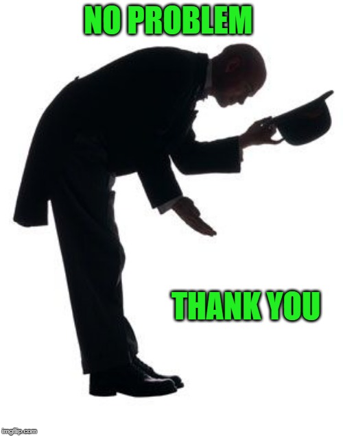 thank you | NO PROBLEM THANK YOU | image tagged in thank you | made w/ Imgflip meme maker