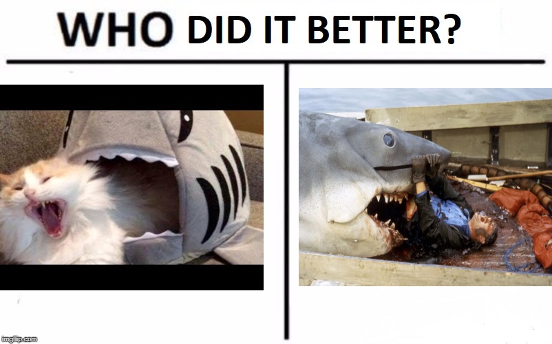 Shark Bait Woo Ha Ha | image tagged in who did it better | made w/ Imgflip meme maker