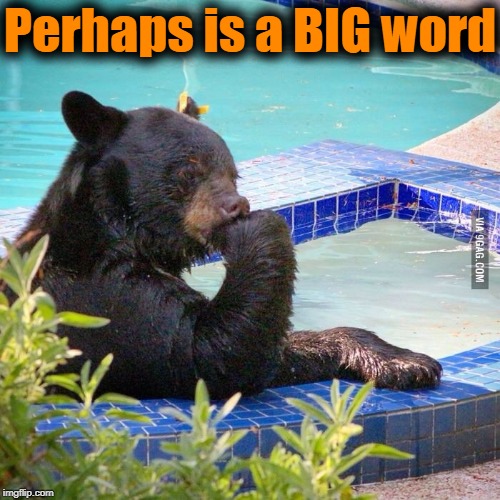 Ponder bear | Perhaps is a BIG word | image tagged in ponder bear | made w/ Imgflip meme maker