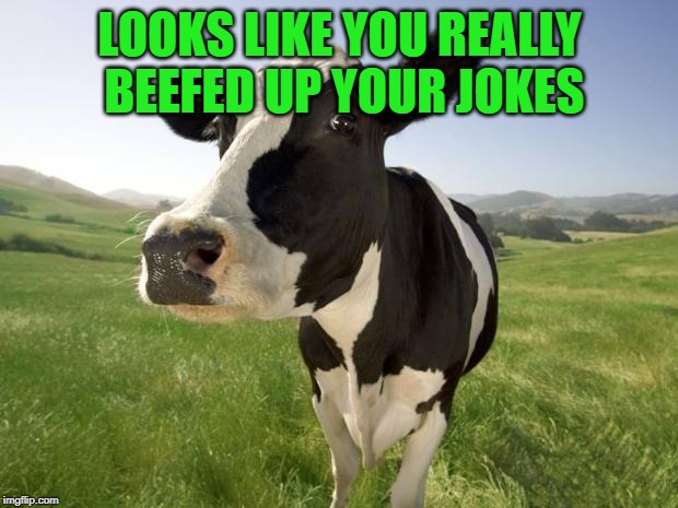 cow | LOOKS LIKE YOU REALLY BEEFED UP YOUR JOKES | image tagged in cow | made w/ Imgflip meme maker