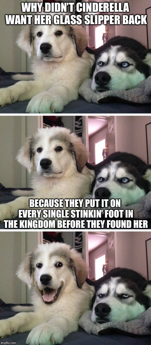 Bad pun dogs | WHY DIDN’T CINDERELLA WANT HER GLASS SLIPPER BACK; BECAUSE THEY PUT IT ON EVERY SINGLE STINKIN’ FOOT IN THE KINGDOM BEFORE THEY FOUND HER | image tagged in bad pun dogs | made w/ Imgflip meme maker