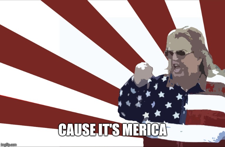 'merica | CAUSE IT'S MERICA | image tagged in 'merica | made w/ Imgflip meme maker