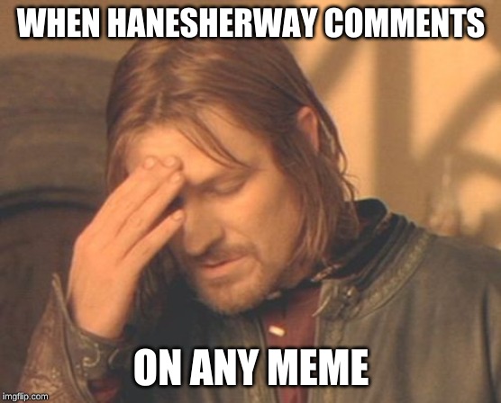 Frustrated Boromir Meme | WHEN HANESHERWAY COMMENTS ON ANY MEME | image tagged in memes,frustrated boromir | made w/ Imgflip meme maker