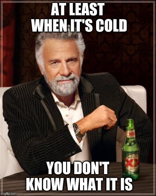 The Most Interesting Man In The World Meme | AT LEAST WHEN IT'S COLD YOU DON'T KNOW WHAT IT IS | image tagged in memes,the most interesting man in the world | made w/ Imgflip meme maker