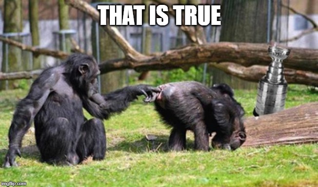 Monkeys | THAT IS TRUE | image tagged in monkeys | made w/ Imgflip meme maker