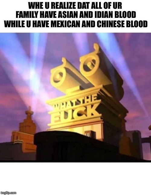 WHE U REALIZE DAT ALL OF UR FAMILY HAVE ASIAN AND IDIAN BLOOD WHILE U HAVE MEXICAN AND CHINESE BLOOD | image tagged in i dunno | made w/ Imgflip meme maker