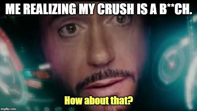 How about that? Crush is a B**ch. | ME REALIZING MY CRUSH IS A B**CH. How about that? | image tagged in iron man tony stark y no me invit | made w/ Imgflip meme maker