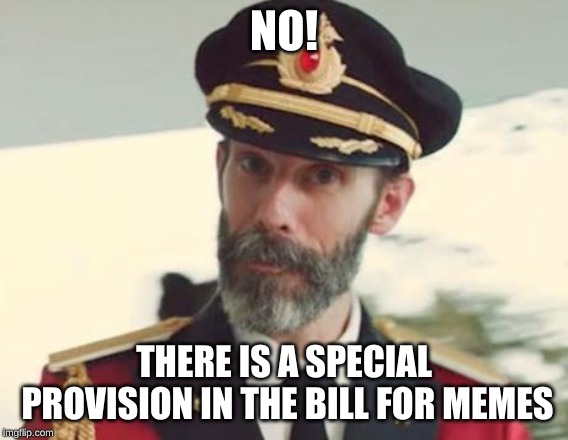 Captain Obvious | NO! THERE IS A SPECIAL PROVISION IN THE BILL FOR MEMES | image tagged in captain obvious | made w/ Imgflip meme maker