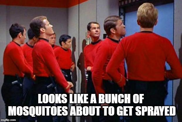 Dread Thy Shirt is Red | LOOKS LIKE A BUNCH OF MOSQUITOES ABOUT TO GET SPRAYED | image tagged in star trek red shirts | made w/ Imgflip meme maker
