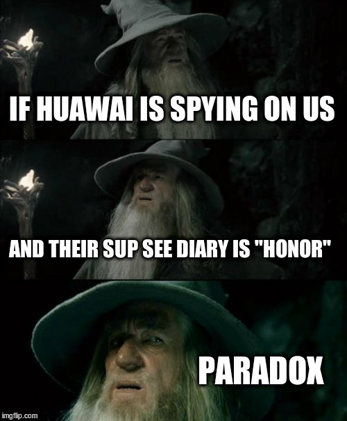 Confused Gandalf Meme | IF HUAWAI IS SPYING ON US AND THEIR SUP SEE DIARY IS "HONOR" PARADOX | image tagged in memes,confused gandalf | made w/ Imgflip meme maker