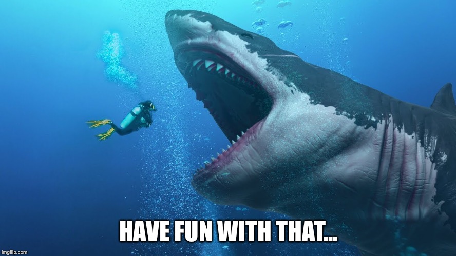 Swimming With Sharks | HAVE FUN WITH THAT... | image tagged in sharks | made w/ Imgflip meme maker