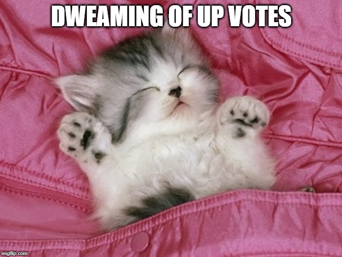 Make his dweams come twoo! | DWEAMING OF UP VOTES | image tagged in cute kitten sleeping,nixieknox,memes,up votes | made w/ Imgflip meme maker