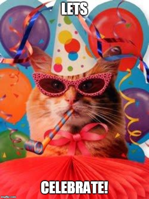 Cat Celebration! | LETS CELEBRATE! | image tagged in cat celebration | made w/ Imgflip meme maker