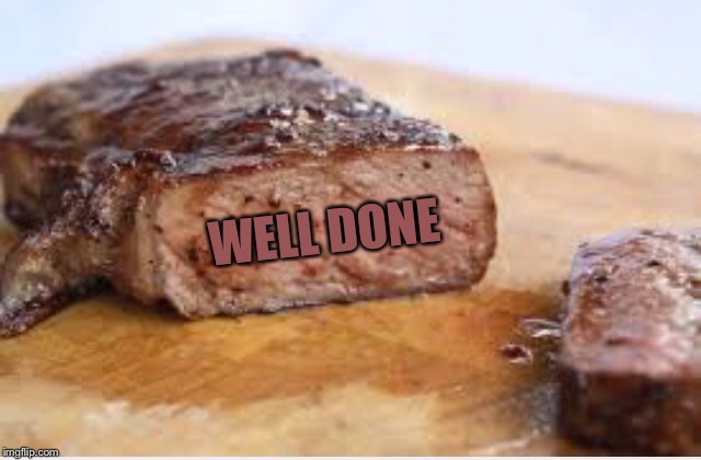 WELL DONE | WELL DONE | image tagged in well done | made w/ Imgflip meme maker