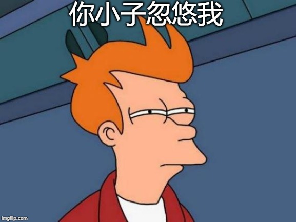 Futurama Fry | 你小子忽悠我 | image tagged in memes,futurama fry | made w/ Imgflip meme maker