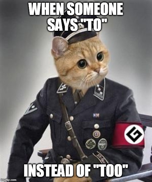 Grammar Nazi Cat | WHEN SOMEONE SAYS "TO" INSTEAD OF "TOO" | image tagged in grammar nazi cat | made w/ Imgflip meme maker