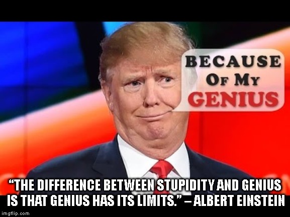 Trump is Unstable Stupidity | “THE DIFFERENCE BETWEEN STUPIDITY AND GENIUS IS THAT GENIUS HAS ITS LIMITS.”
– ALBERT EINSTEIN | image tagged in impeach trump,donald trump is an idiot,stupidity | made w/ Imgflip meme maker