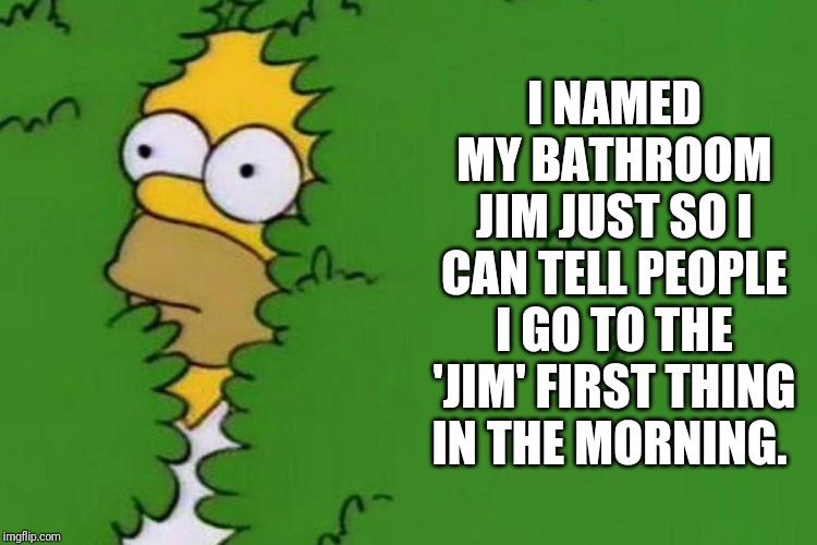 Condescending Homer. | I NAMED MY BATHROOM JIM JUST SO I CAN TELL PEOPLE I GO TO THE 'JIM' FIRST THING IN THE MORNING. | image tagged in condescending | made w/ Imgflip meme maker