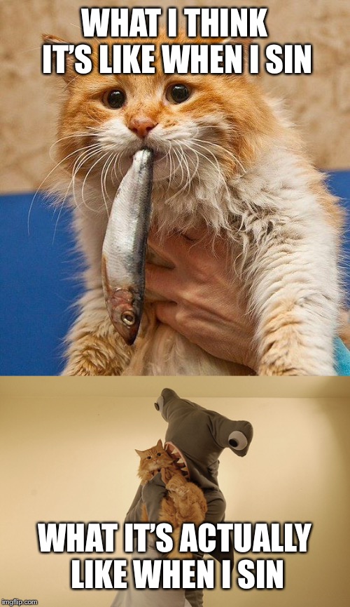 Sin Cat | WHAT I THINK IT’S LIKE WHEN I SIN; WHAT IT’S ACTUALLY LIKE WHEN I SIN | image tagged in sin,catholic,christian,cat,memes,funny | made w/ Imgflip meme maker