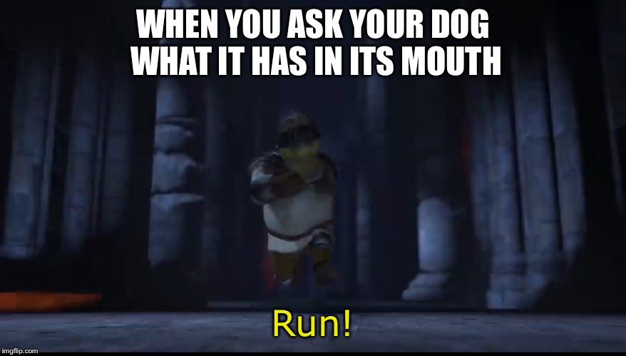 Original Meme, BTW | WHEN YOU ASK YOUR DOG WHAT IT HAS IN ITS MOUTH; Run! | image tagged in shrek,original meme | made w/ Imgflip meme maker