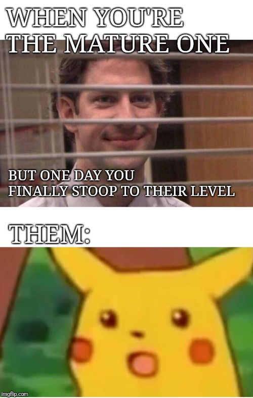 Children disguised as adults | WHEN YOU'RE THE MATURE ONE; BUT ONE DAY YOU FINALLY STOOP TO THEIR LEVEL; THEM: | image tagged in jim office blinds,memes,surprised pikachu,funny memes,lol,maturity | made w/ Imgflip meme maker