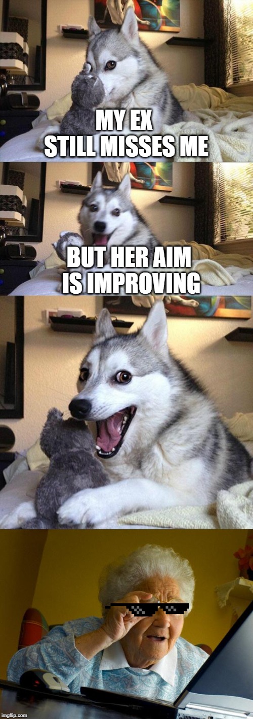 MY EX STILL MISSES ME; BUT HER AIM IS IMPROVING | image tagged in memes,bad pun dog,old lady at computer finds the internet | made w/ Imgflip meme maker