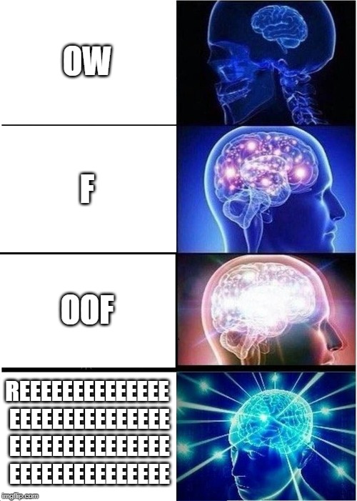 Expanding Brain Meme | OW F OOF REEEEEEEEEEEEEE EEEEEEEEEEEEEEE EEEEEEEEEEEEEEE EEEEEEEEEEEEEEE | image tagged in memes,expanding brain | made w/ Imgflip meme maker