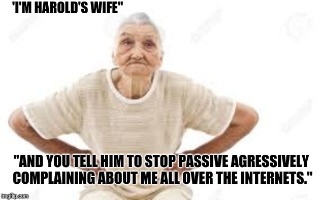 Hide the pain harold's wife! | 'I'M HAROLD'S WIFE"; "AND YOU TELL HIM TO STOP PASSIVE AGRESSIVELY COMPLAINING ABOUT ME ALL OVER THE INTERNETS." | image tagged in harold's wife,old,funny,angry,hide the pain harold,old lady | made w/ Imgflip meme maker