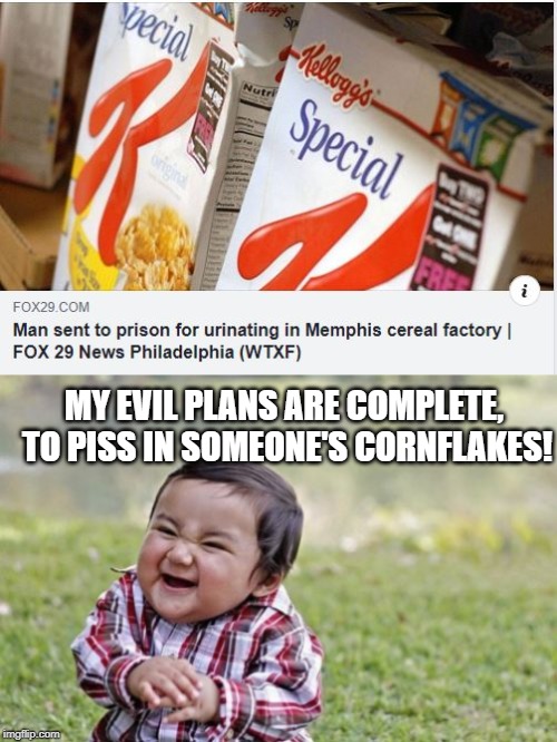 He did What? | MY EVIL PLANS ARE COMPLETE, TO PISS IN SOMEONE'S CORNFLAKES! | image tagged in memes,evil toddler | made w/ Imgflip meme maker