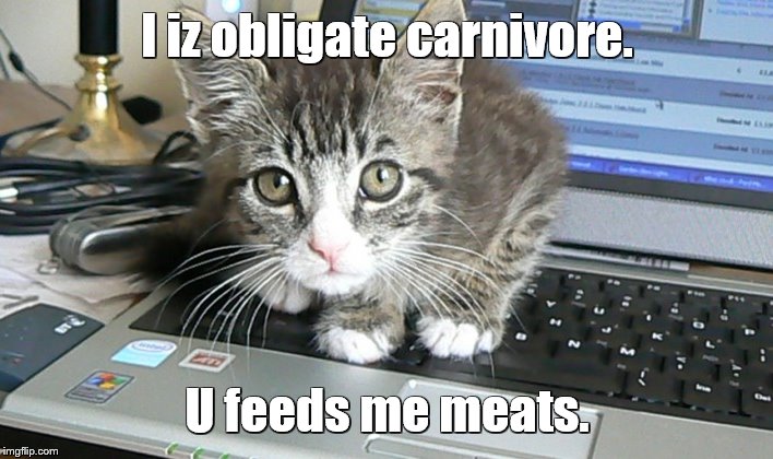 I iz obligate carnivore. U feeds me meats. | made w/ Imgflip meme maker