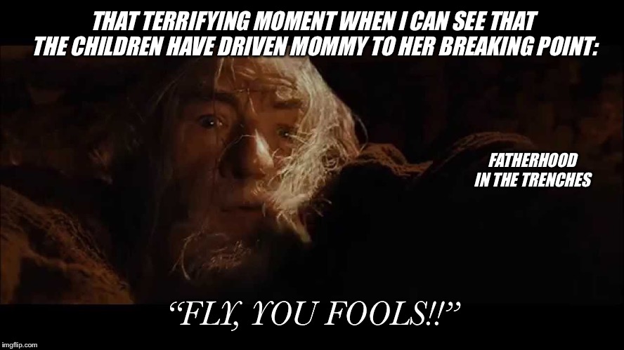 Fly, Foolish Halflings! | THAT TERRIFYING MOMENT WHEN I CAN SEE THAT THE CHILDREN HAVE DRIVEN MOMMY TO HER BREAKING POINT:; FATHERHOOD IN THE TRENCHES; “FLY, YOU FOOLS!!” | image tagged in lord of the rings,gandalf,kids,parenting | made w/ Imgflip meme maker