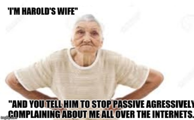 Hide the pain harold's wife. | image tagged in harold's wife,hide the pain harold,old,old lady,funny memes,angry | made w/ Imgflip meme maker