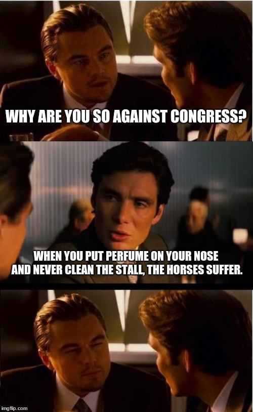Why your life stinks | WHY ARE YOU SO AGAINST CONGRESS? WHEN YOU PUT PERFUME ON YOUR NOSE AND NEVER CLEAN THE STALL, THE HORSES SUFFER. | image tagged in memes,inception,congess sucks,vote them out,term limits or prison,what do they do | made w/ Imgflip meme maker