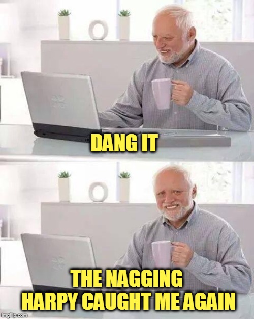 Hide the Pain Harold Meme | DANG IT THE NAGGING HARPY CAUGHT ME AGAIN | image tagged in memes,hide the pain harold | made w/ Imgflip meme maker