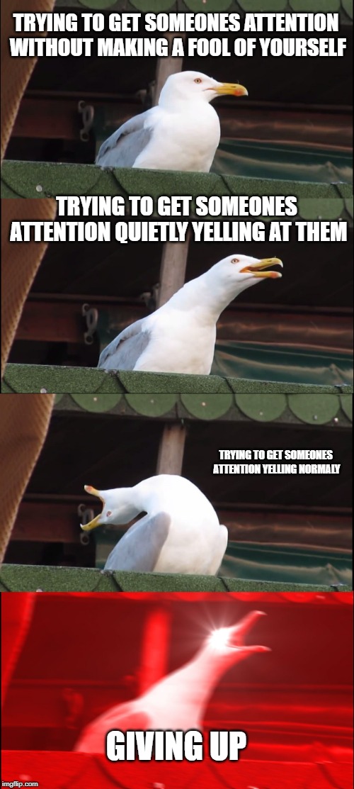 Inhaling Seagull | TRYING TO GET SOMEONES ATTENTION WITHOUT MAKING A FOOL OF YOURSELF; TRYING TO GET SOMEONES ATTENTION QUIETLY YELLING AT THEM; TRYING TO GET SOMEONES ATTENTION YELLING NORMALY; GIVING UP | image tagged in memes,inhaling seagull | made w/ Imgflip meme maker