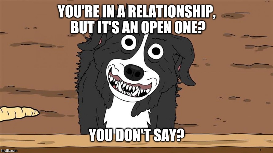 Mr. Pickles you don't say | YOU'RE IN A RELATIONSHIP, BUT IT'S AN OPEN ONE? YOU DON'T SAY? | image tagged in mr pickles you don't say | made w/ Imgflip meme maker