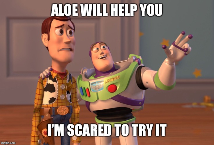 X, X Everywhere | ALOE WILL HELP YOU; I’M SCARED TO TRY IT | image tagged in memes,x x everywhere | made w/ Imgflip meme maker