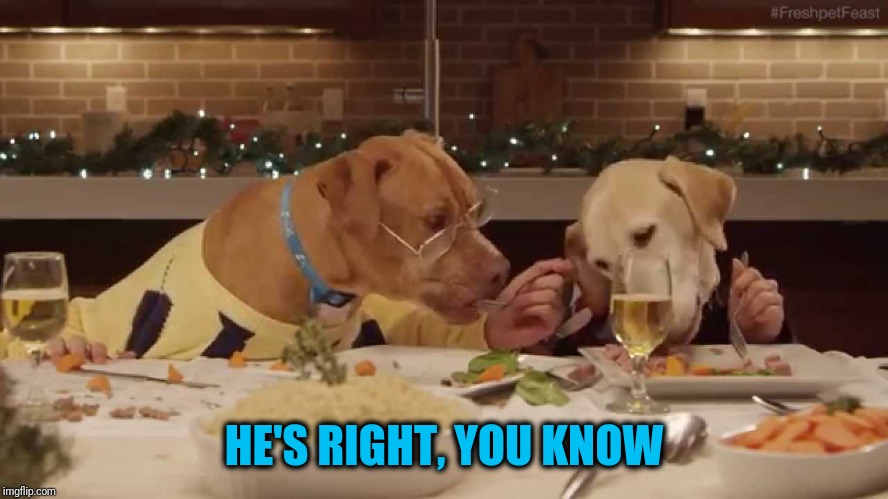 dog dinner | HE'S RIGHT, YOU KNOW | image tagged in dog dinner | made w/ Imgflip meme maker