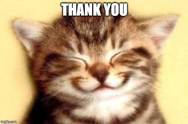 Happy Kitten | THANK YOU | image tagged in happy kitten | made w/ Imgflip meme maker