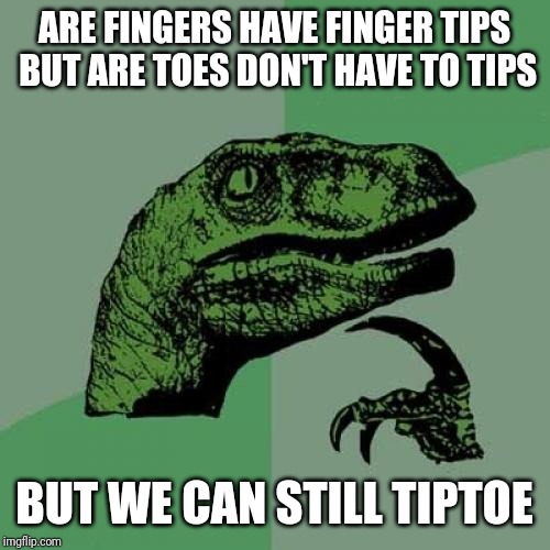 Philosoraptor | ARE FINGERS HAVE FINGER TIPS BUT ARE TOES DON'T HAVE TO TIPS; BUT WE CAN STILL TIPTOE | image tagged in memes,philosoraptor | made w/ Imgflip meme maker