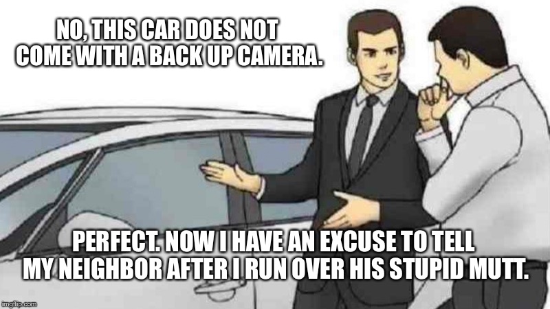 Car salesmen | NO, THIS CAR DOES NOT COME WITH A BACK UP CAMERA. PERFECT. NOW I HAVE AN EXCUSE TO TELL MY NEIGHBOR AFTER I RUN OVER HIS STUPID MUTT. | image tagged in memes,car salesman slaps roof of car,backup camera,neighbors,stupid | made w/ Imgflip meme maker