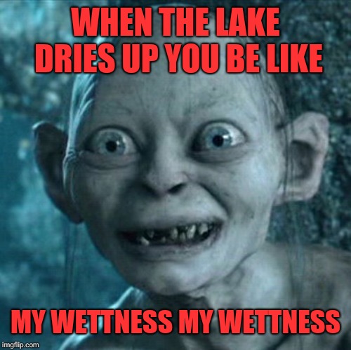 Gollum Meme |  WHEN THE LAKE DRIES UP YOU BE LIKE; MY WETTNESS MY WETTNESS | image tagged in memes,gollum | made w/ Imgflip meme maker