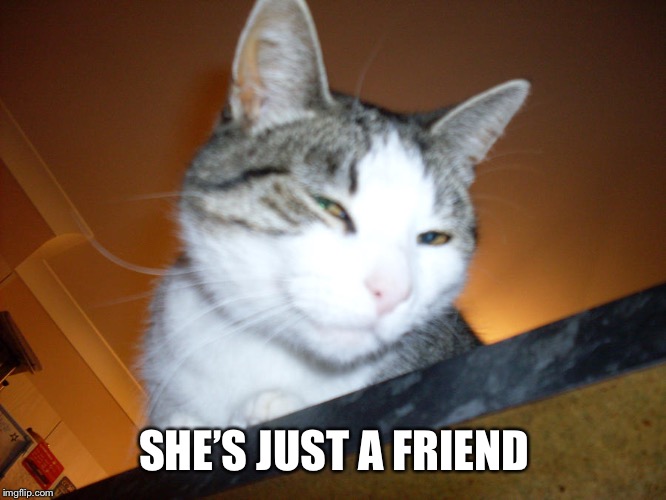 SHE’S JUST A FRIEND | made w/ Imgflip meme maker